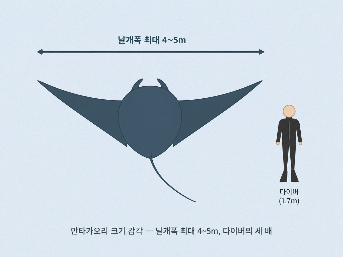 만타 포인트 — 클리닝 스테이션 위를 활공하는 만타가오리. 페니다 남서 절벽 아래, 운이 좋으면 날개폭 3~4m급이 머리 위를 지난다.